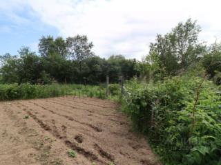 1-этажный дом, 55 м², 20 соток