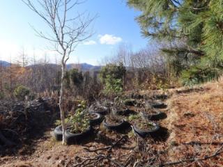 2-этажный дом, 58.6 м², 14 соток