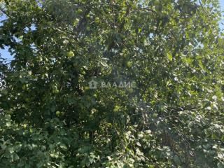  дом, 74.1 м², 49 соток