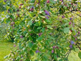 2-этажный коттедж, 160 м², 18.2 соток