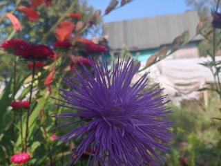  коттедж, 12 м², 6.8 соток