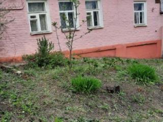 1-этажный дом, 53 м², 5.7 соток