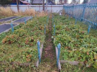  коттедж, 30 м², 5.8 соток