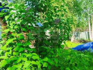 1-этажный дом, 27 м², 6 соток