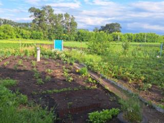 1-этажный дом, 38.8 м², 33 сотки