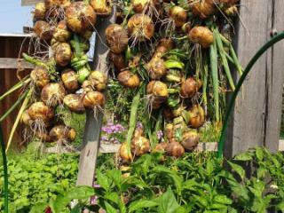 2-этажный дом, 100 м², 30 соток