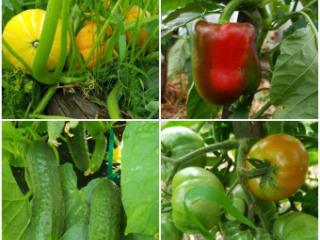 2-этажный дом, 100 м², 30 соток