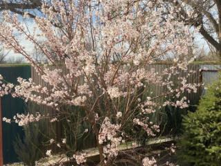 3-этажный коттедж, 307.6 м², 17.6 соток