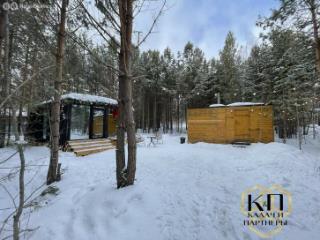 1-этажный дом, 29 м², 15.6 соток