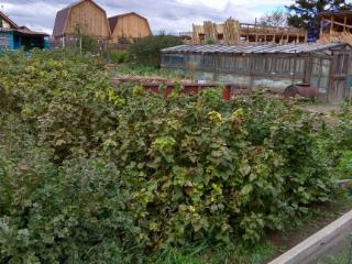  коттедж, 20 м², 6.3 соток