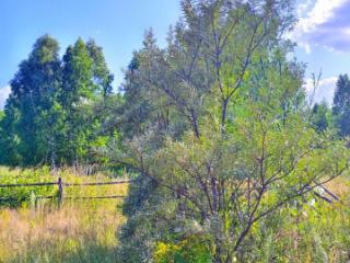 1-этажный дом, 32.2 м², 30.3 соток