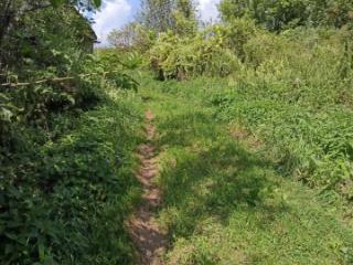 1-этажный дом, 45 м², 16.5 соток