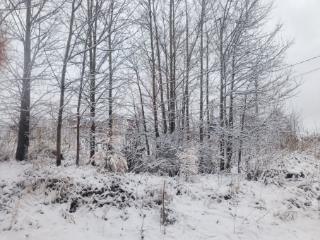 2-этажный коттедж, 185.6 м², 11.86 соток