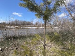 1-этажный дом, 60 м², 10 соток