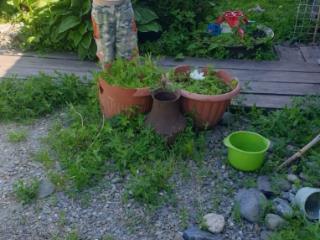 1-этажный дом, 80 м², 25 соток