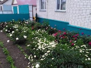 2-этажный дом, 197 м², 10 соток