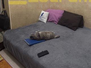 Студия, 16 м², 2/2 этаж