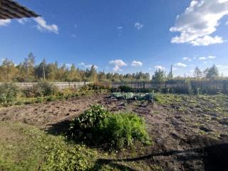 1-этажный дом, 49 м², 49 соток