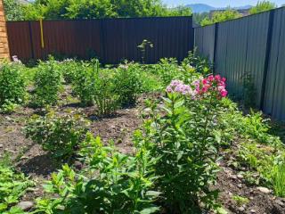  дом, 120 м², 12 соток