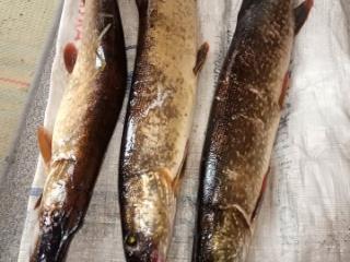 2-этажный дом, 110 м², 16 соток