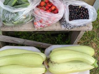  дом, 38 м², 7 соток