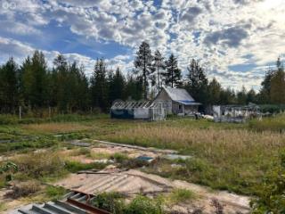  дом, 31 м², 10.11 соток