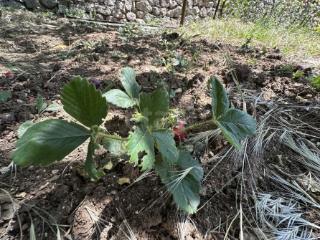 2-этажный дом, 42 м², 8.94 соток