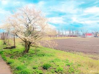 2-этажный дом, 270 м², 45 соток