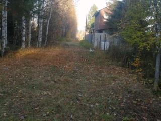  коттедж, 40 м², 6 соток