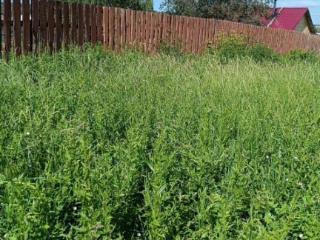  дом, 40 м², 12.5 соток