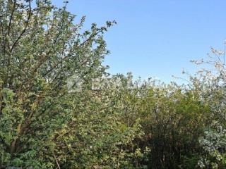 1-этажный дом, 80.2 м², 31 сотка