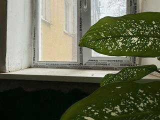 1-комн. квартира, 31 м², 3/5 этаж