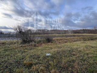  дом, 92.1 м², 48 соток