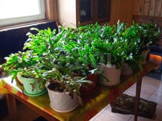 2-этажный дом, 104.7 м², 10 соток