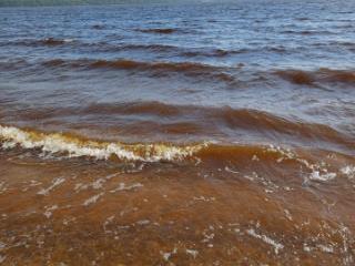 1-этажный дом, 280 м², 12 соток