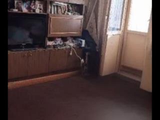 2-комн. квартира, 46.9 м², 5/5 этаж