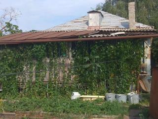  дом, 90 м², 12 соток