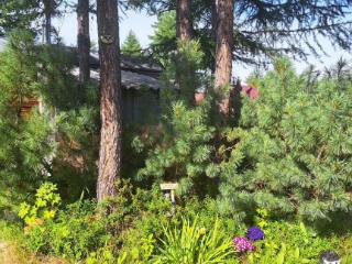  дом, 38 м², 7 соток