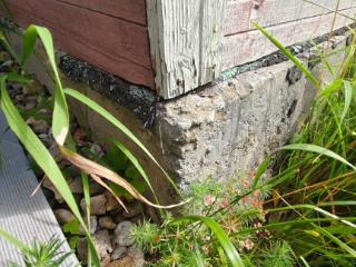  коттедж, 50 м², 10 соток