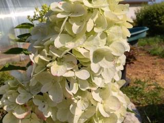  дом, 150 м², 14 соток