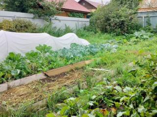  дом, 41.9 м², 3 сотки