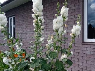 1-этажный дом, 94.5 м², 12.3 соток