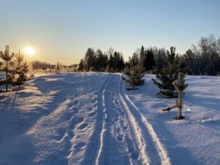 1-этажный дом, 25.3 м², 37 соток