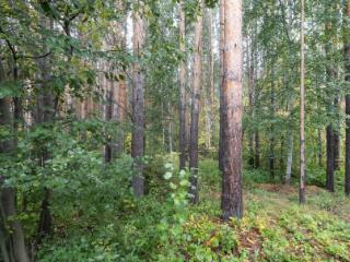  коттедж, 360 м², 14 соток