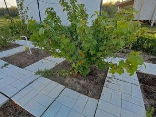 2-этажный дом, 140 м², 12 соток