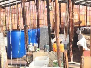  дом, 49 м², 6 соток