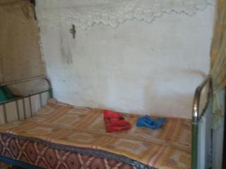  дом, 33 м², 15 соток