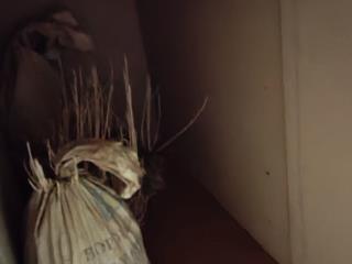  коттедж, 25 м², 6 соток