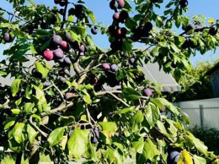 2-этажный дом, 70 м², 7 соток