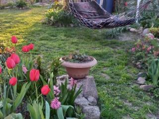 1-этажный дом, 56.4 м², 8.5 соток